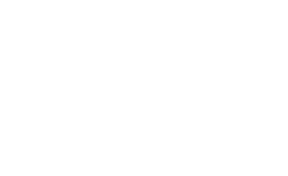 Sky_Master_Brand_Logo_MONO_WHITE_RGB-1